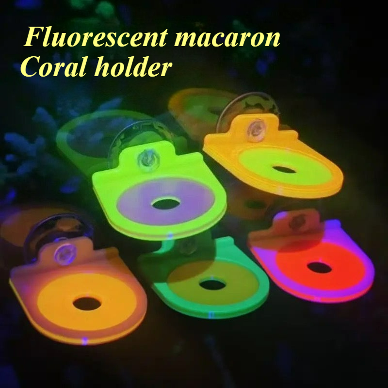 Aquarium Marine Color - Warna Acak Karang Frag Pemegang Braket