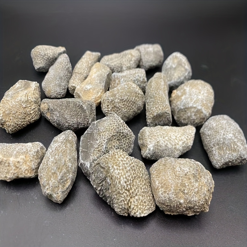 Aquarium Marine Rock - 1 Buah Batu Karang Alami Cocok