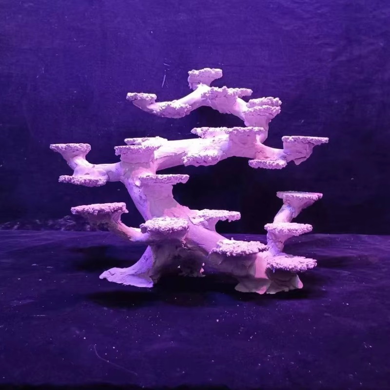 Batu Dekoratif Akuarium Air As - Aquarium Marine Rock ulasan dan harga