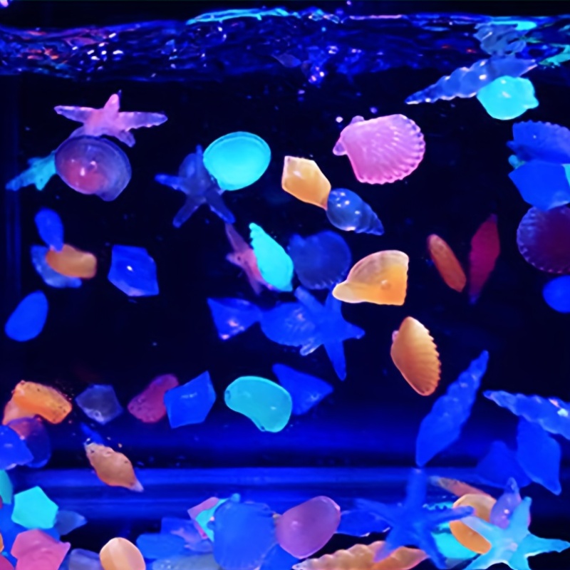 100 Buah Batu Bercahaya Laut,  - Aquarium Marine Color ulasan dan harga