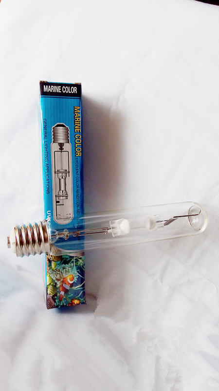 250 w 10 k 14 k 20 k E40 socke - Aquarium Marine Rock ulasan dan harga