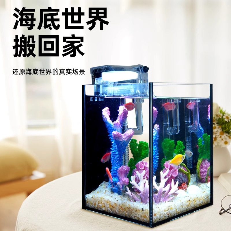 Dekorasi Akuarium Laut dari Re - Aquarium Marine Rock ulasan dan harga