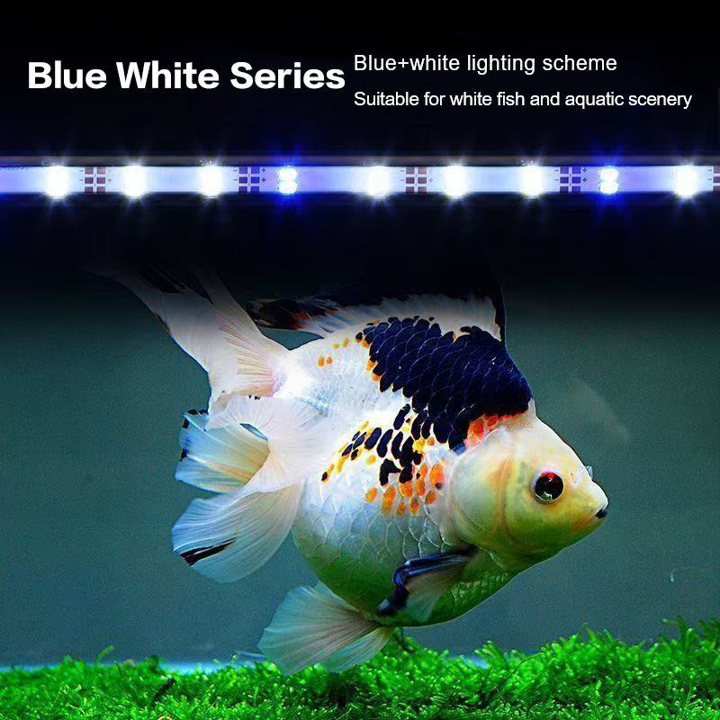 Lampu Akuarium LED USB 17-47CM - Marine Aquarium Nano ulasan dan harga