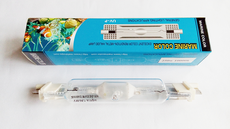 LAUT WARNA 250 w 10 k 14 k 20  - Aquarium Marine Rock ulasan dan harga