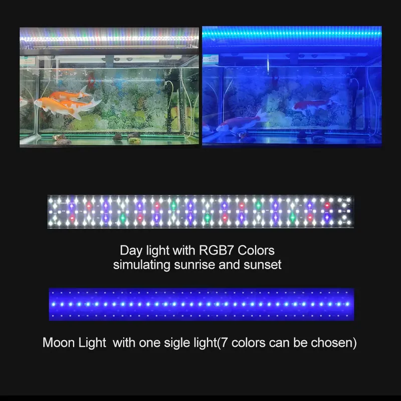SIROKA Lampu Akuarium LED Berk - Marine Aquarium Hours ulasan dan harga