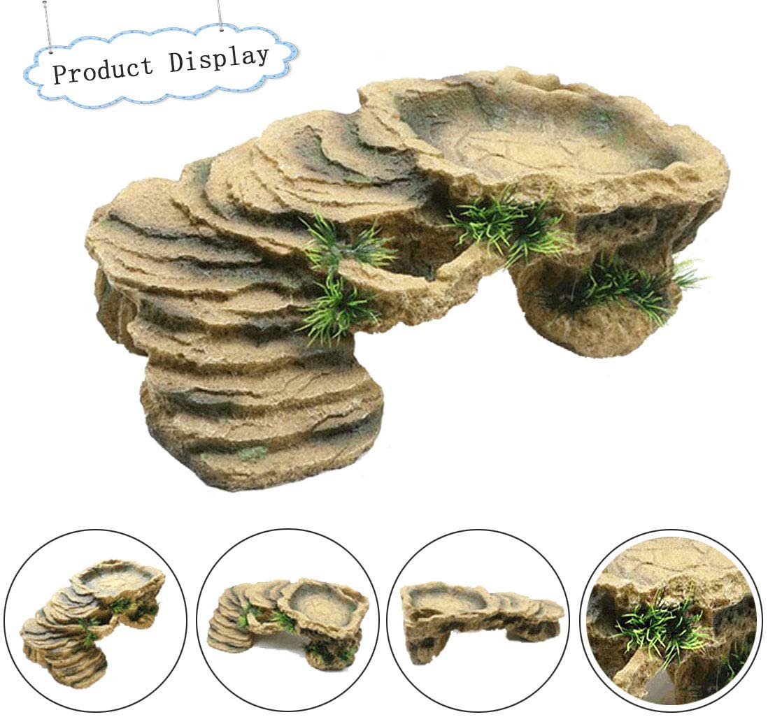 Penyu Basking Platform Kura-ku - Aquarium Marine Rock ulasan dan harga