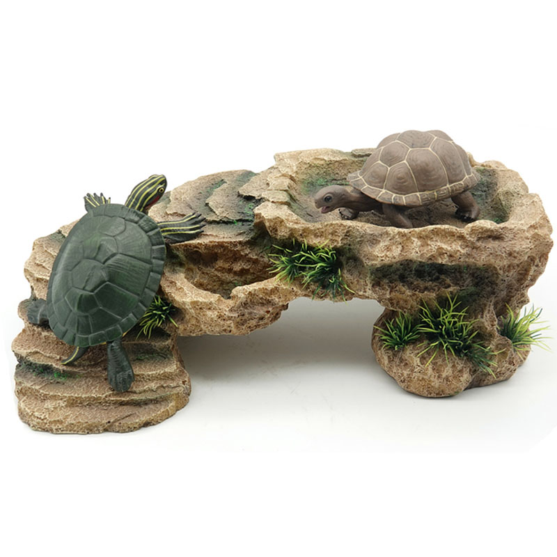 Penyu Basking Platform Kura-ku - Aquarium Marine Rock ulasan dan harga