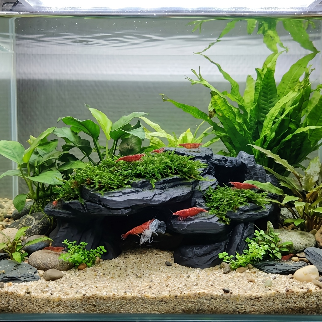 Dekorasi Akuarium Tersembunyi  - Aquarium Marine Rock ulasan dan harga