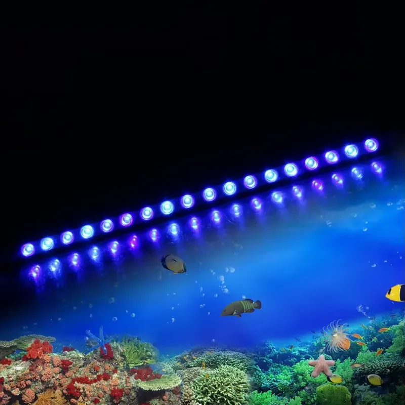 Lampu LED Akuarium dengan Peng - Marine Aquarium Hours ulasan dan harga