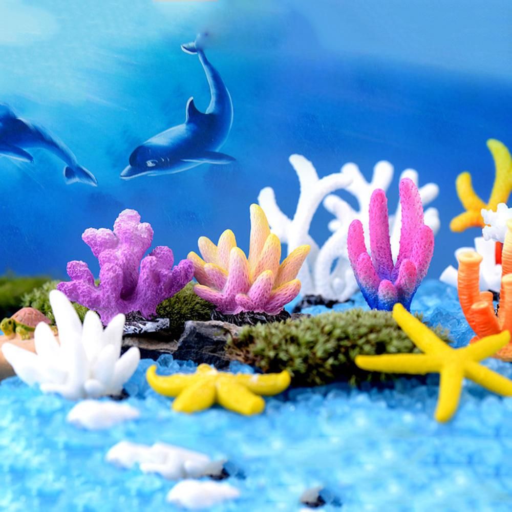 Hiasan Meja Akuarium Dekorasi  - Aquarium Marine Rock ulasan dan harga