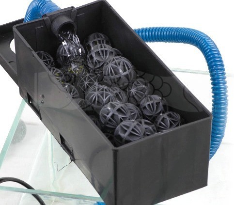 50pcs Bio Balls 1 inci untuk M - Aquarium Marine Color ulasan dan harga