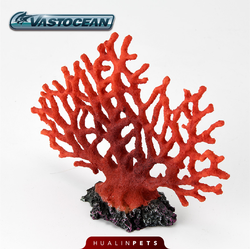 Dekorasi Ekosistem Terumbu Kar - Aquarium Marine Rock ulasan dan harga