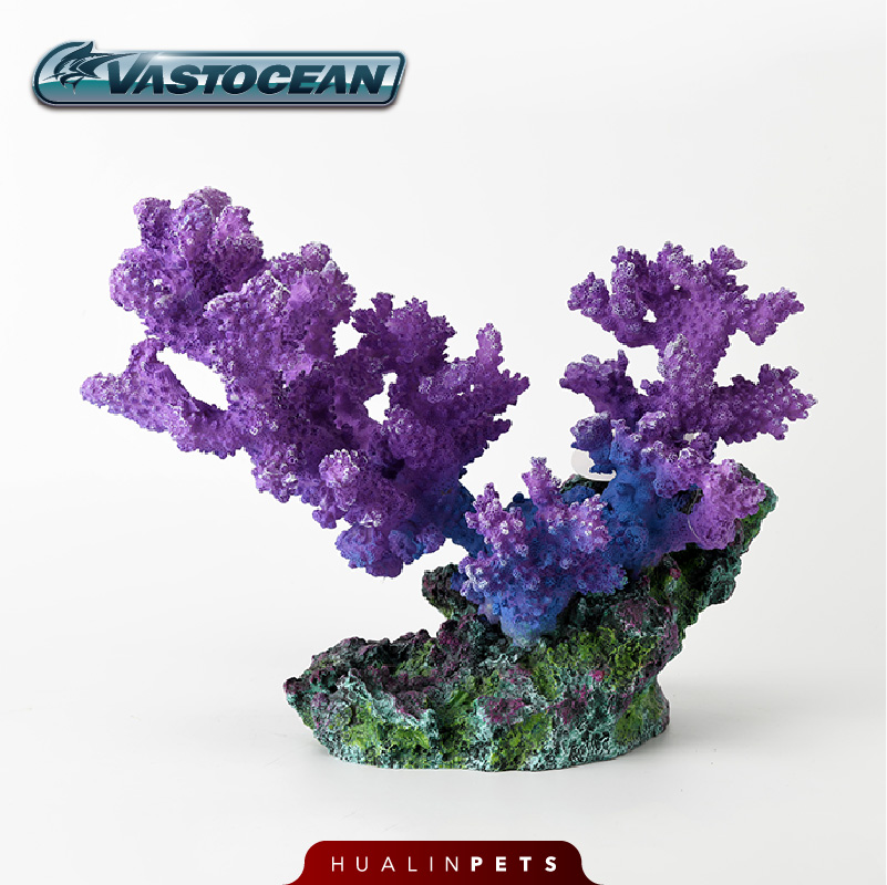 Dekorasi Ekosistem Terumbu Kar - Aquarium Marine Rock ulasan dan harga