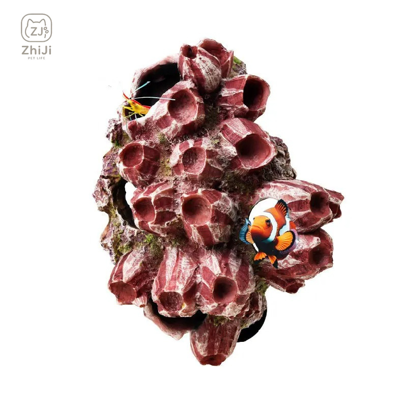 Dekorasi Lanskap Akuarium Gua  - Aquarium Marine Rock ulasan dan harga