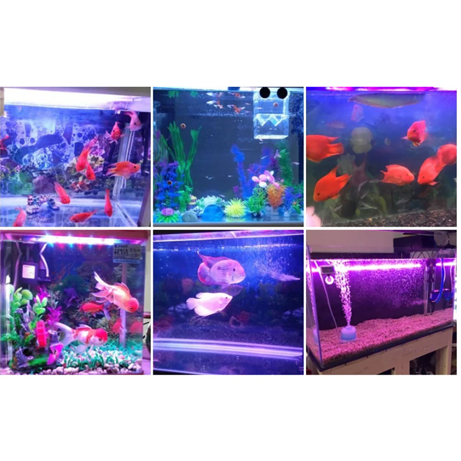 50W 60W 70W 100W RGB 26-28V La - Aquarium Marine Color ulasan dan harga