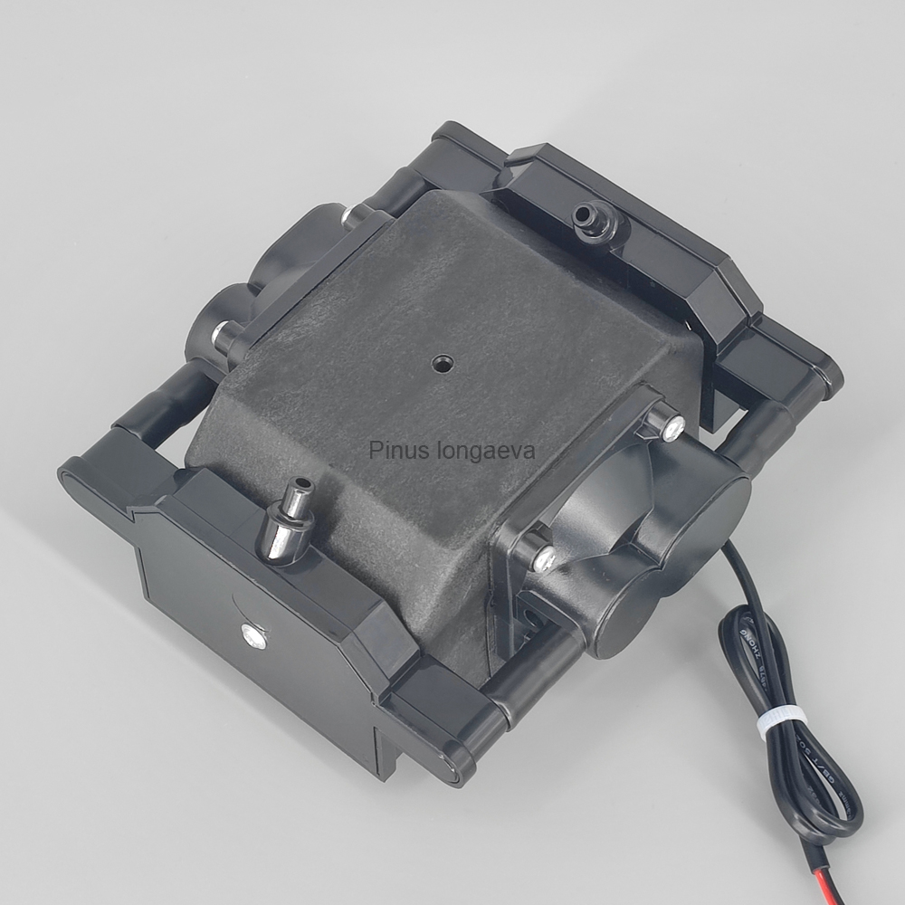 Pinus Longaeva 30L/mnt 30kPa P - Marine Aquarium Ozone Generator ulasan dan harga