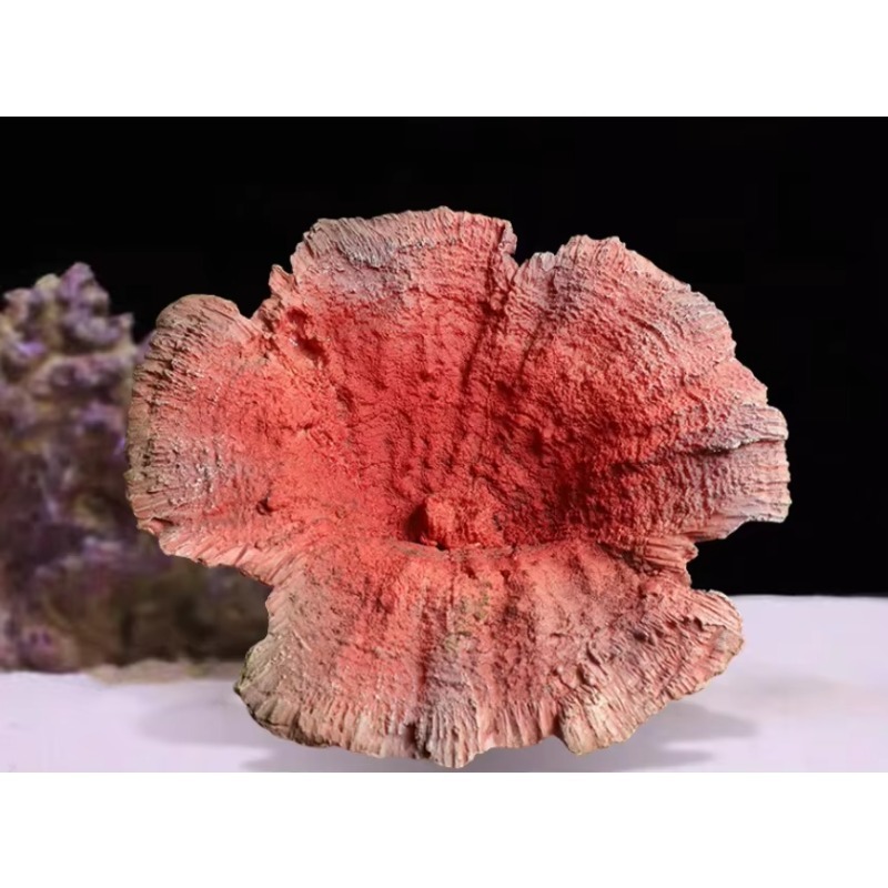 Dekorasi Akuarium Terumbu Kara - Aquarium Marine Rock ulasan dan harga