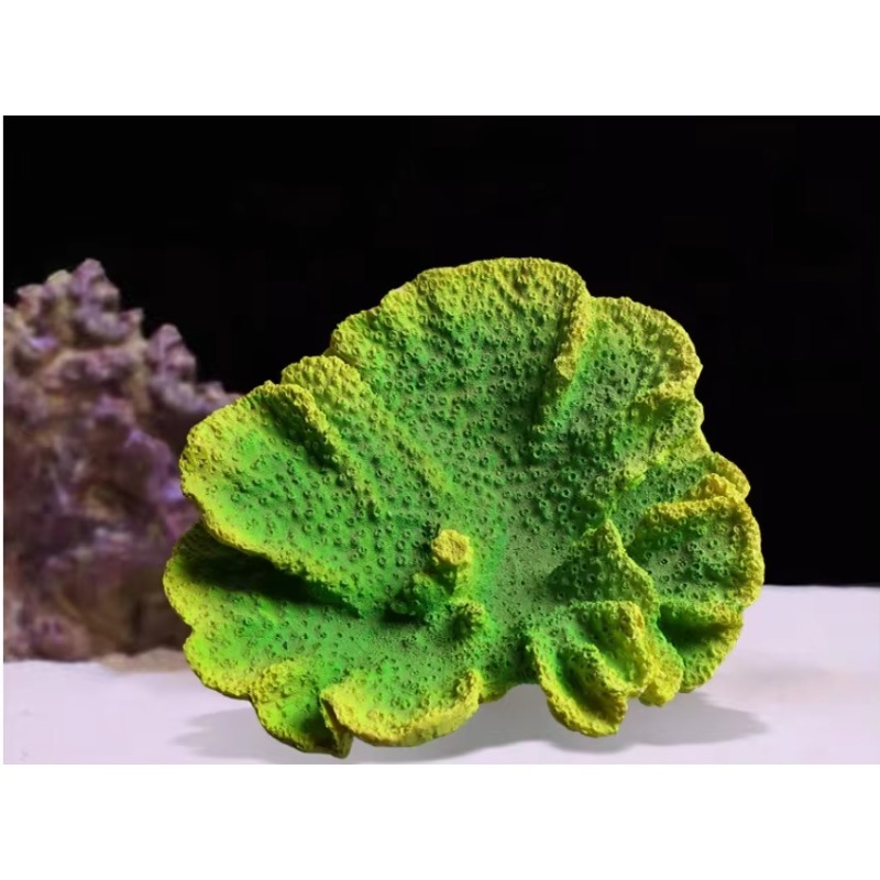 Dekorasi Akuarium Terumbu Kara - Aquarium Marine Rock ulasan dan harga