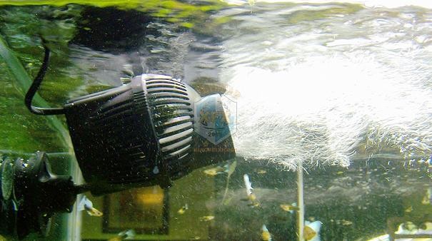 Pompa pembuat gelombang terbar - Aquarium Marine Color ulasan dan harga