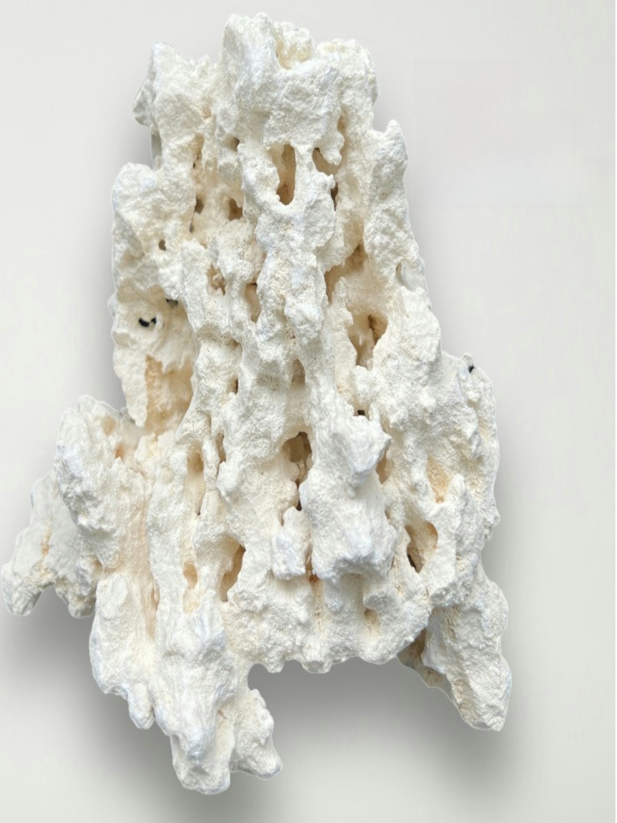 Batu Karang Alami Kilago Dry R - Aquarium Marine Rock ulasan dan harga