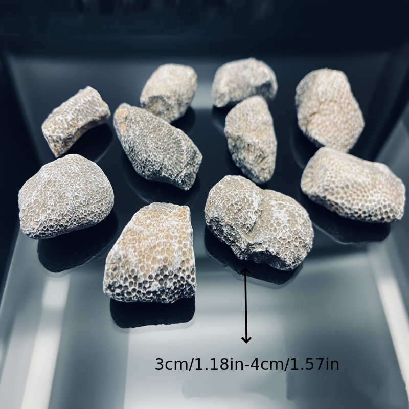 1 Buah Batu Karang Alami Cocok - Aquarium Marine Rock ulasan dan harga