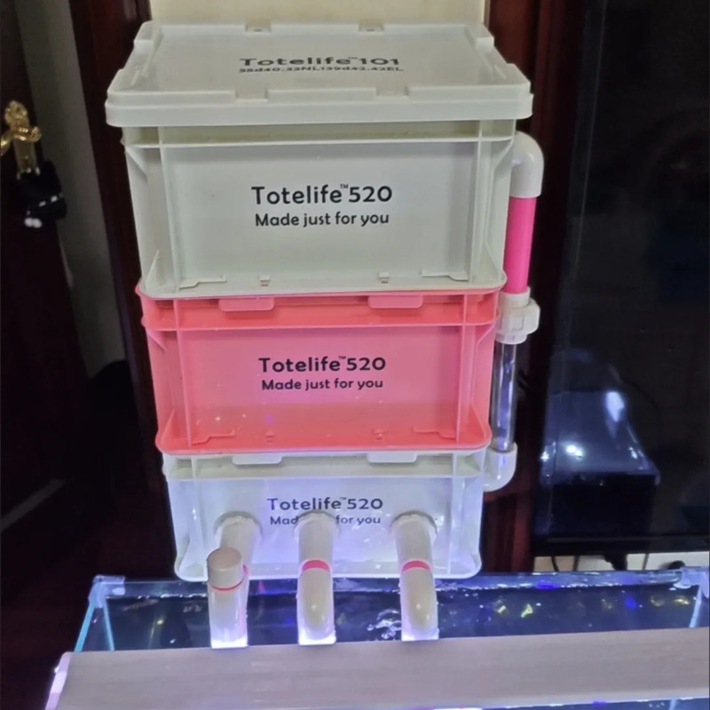 Kotak Filter Akuarium dengan P - Marine Aquarium Overflow ulasan dan harga